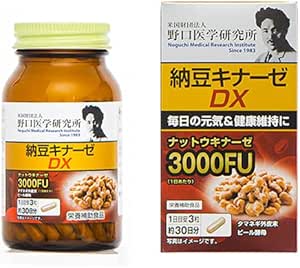 野口医学研究所 納豆キナーゼDX90粒x6本